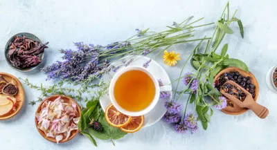 草野羊咩咩的沙龍