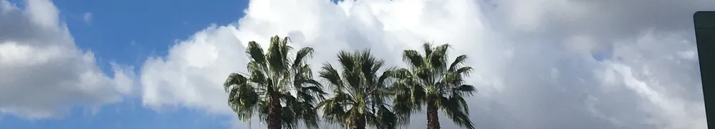 Green leaf青叶的沙龍