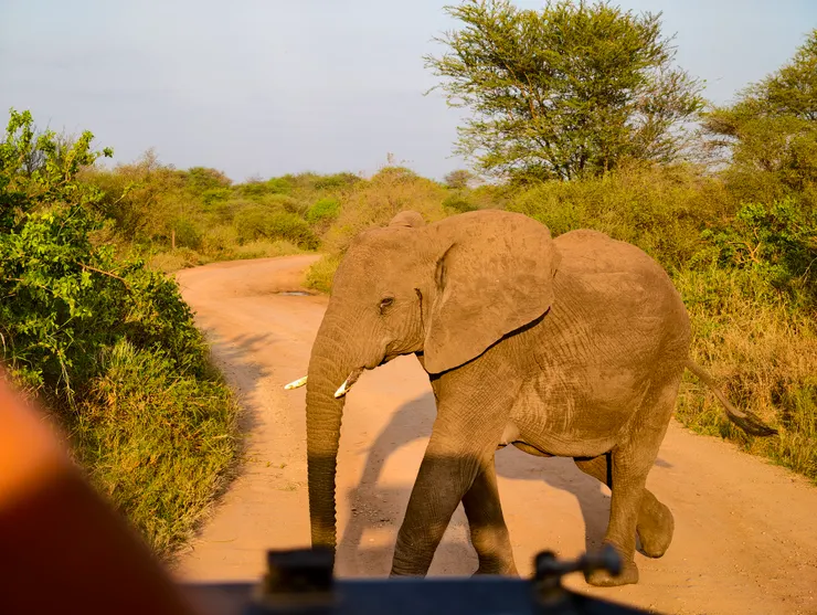 就這樣從車子面前走過去