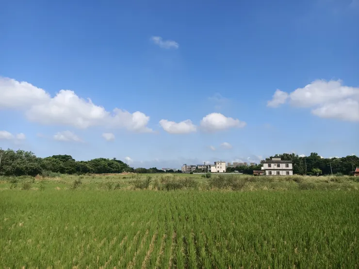 走路去拜土地公