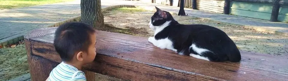 小春日和，寫作月記的沙龍