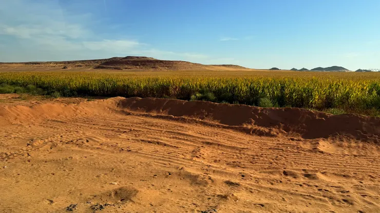 表層黃色挖掉，出現紅色泥土就可耕種。