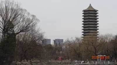 20250303 北京大學未名湖畔