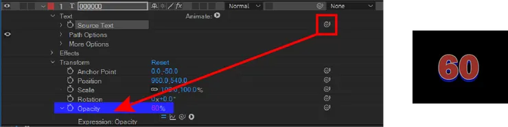 文字顯示表達式