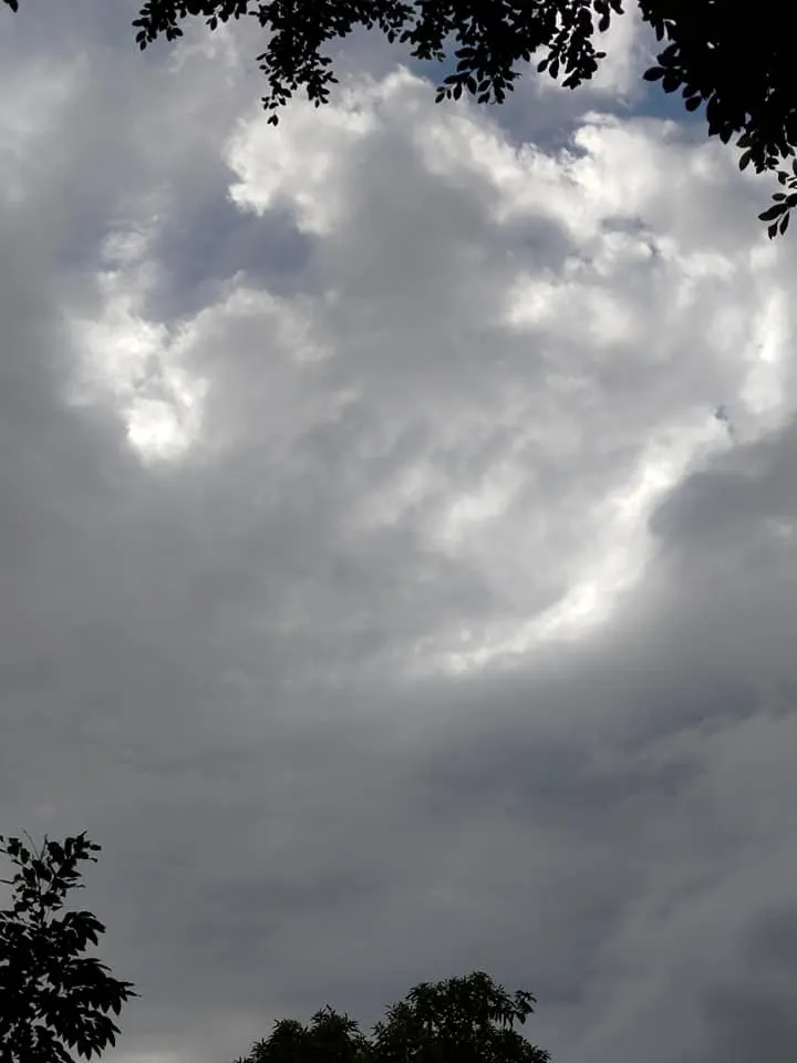 2021.11.28天氣陰涼