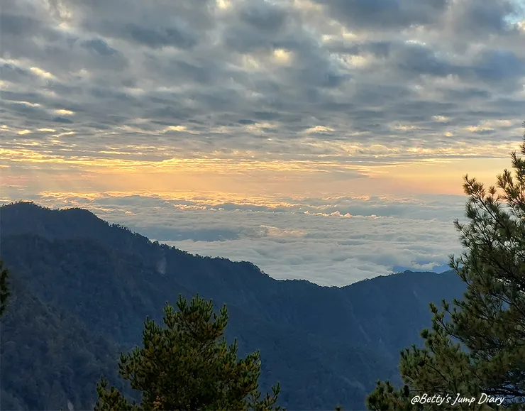 ▲台中「大雪山國家森林遊樂區」/圖片來源：Betty's Jump Diary
