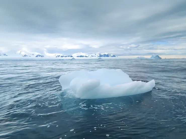 由艙房陽台可見冰山、冰原及雪山。