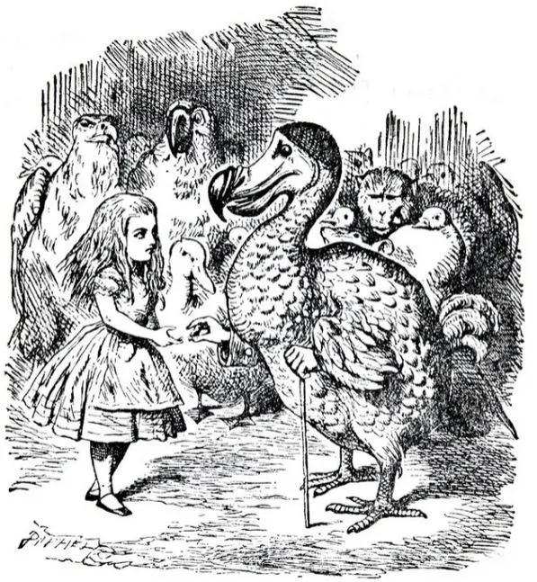 愛麗絲竟與一隻澳大拉西亞小鸚鵡吵架