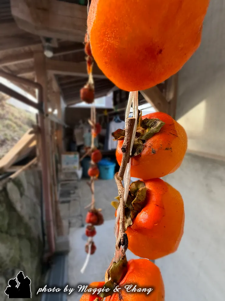 溫暖的陽光照耀在甜柿上看起來美味可口