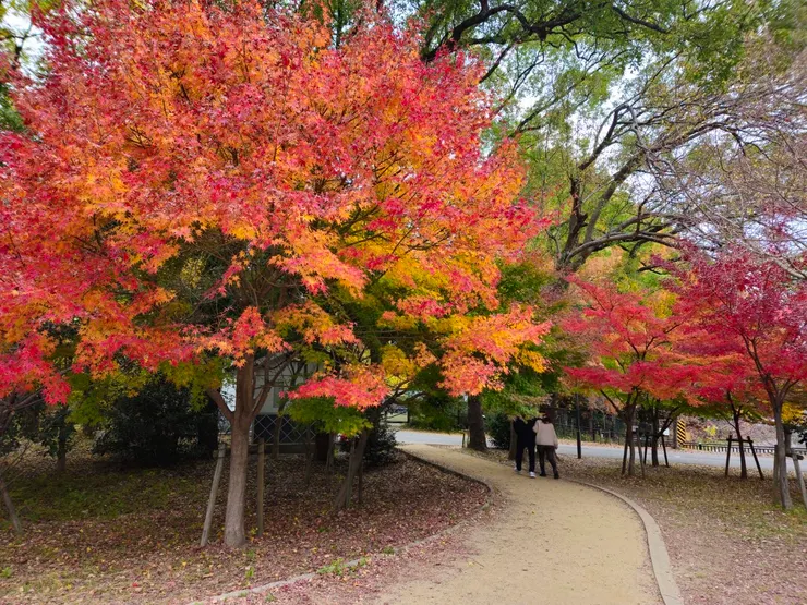 大阪萬博紀念公園