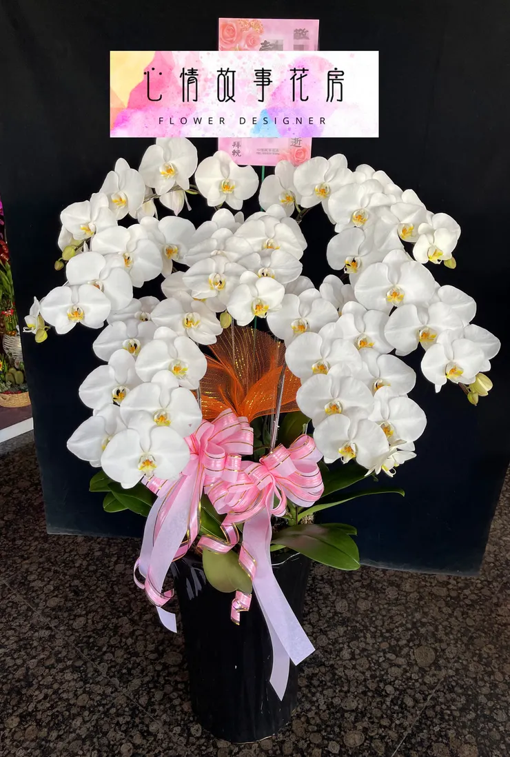 台南最推薦花店|心情故事花房陪您迎接蛇年,蘭花盆栽添喜氣,公家機關、銀行、醫院一致首選!