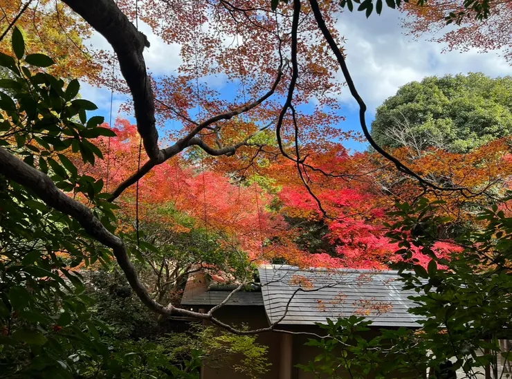 我們一直還在山𥚃打轉
