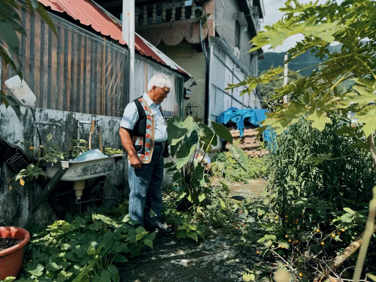 富源vuvu講解芋頭