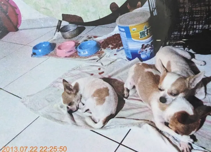 就愛把嘟媽當靠枕的小嘟 唸緊緊