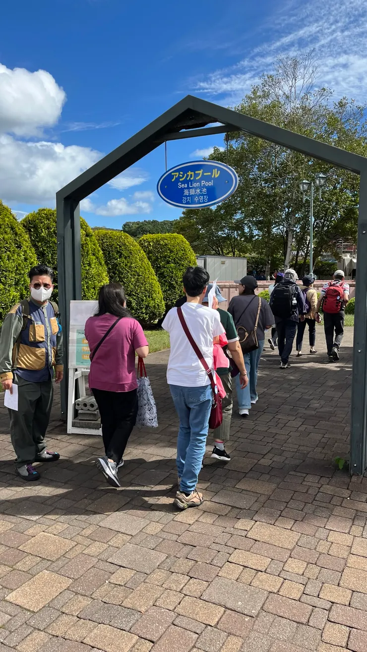 大家也都往海獅水池前進。