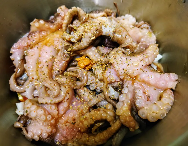 肥厚、半透明的圓圓吸盤。