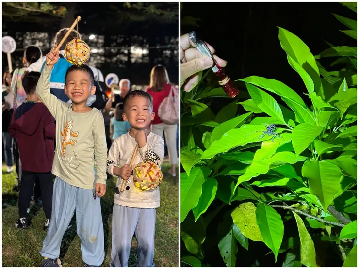 天一黑，就開始跟著志工們一起去探險，尋找山林裡的原住民