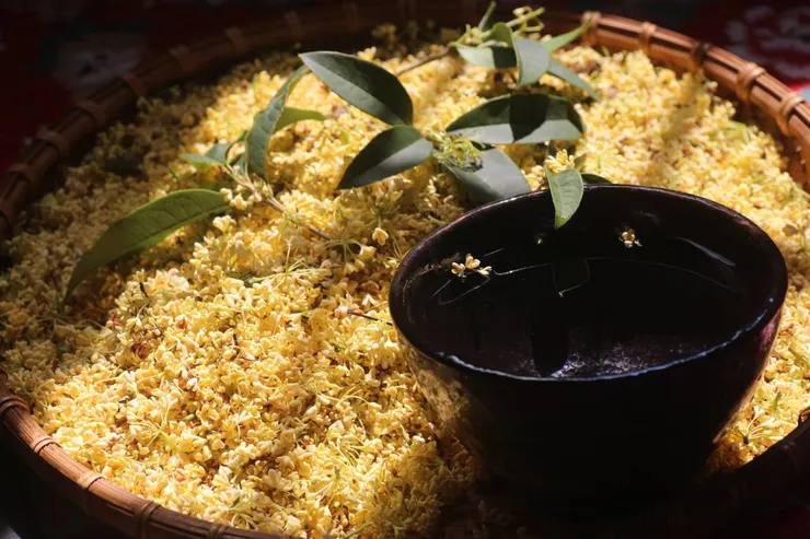 桂花剛開始蒸出來的味道有栗子味，似乎隱含了它與栗子合拍的靈魂密碼