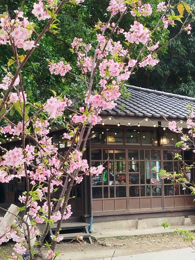 麗池畔的咖啡館