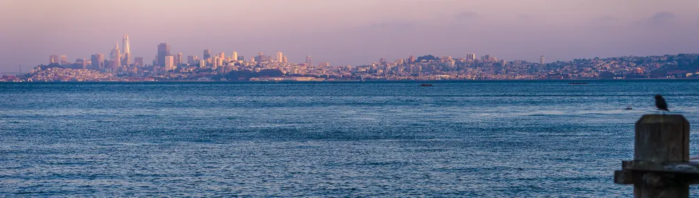 尷尬癌末期患者的沙龍