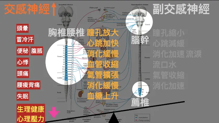 自律神經失調說明 