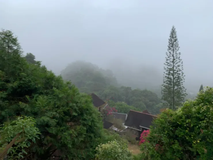 風雨暫歇,雲霧繚繞