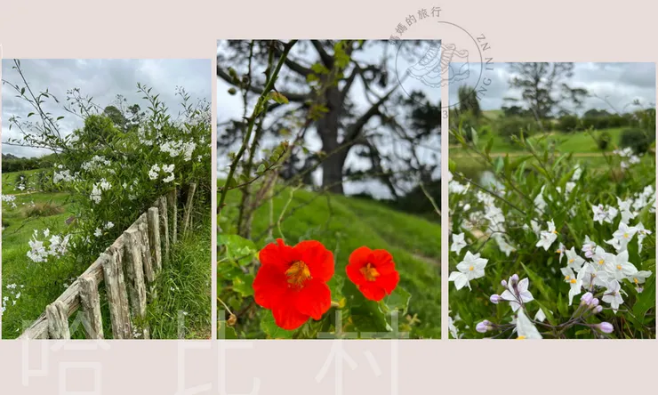 哈比村處處可愛的小角落