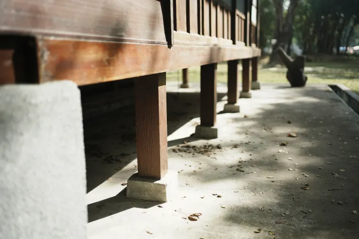 灑落地面的陽光