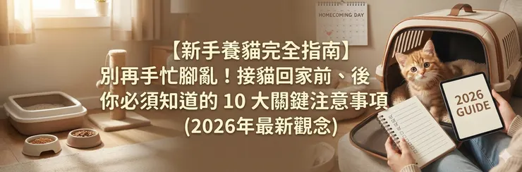 【新手養貓完全指南】別再手忙腳亂！接貓回家前、後你必須知道的 10 大關鍵注意事項