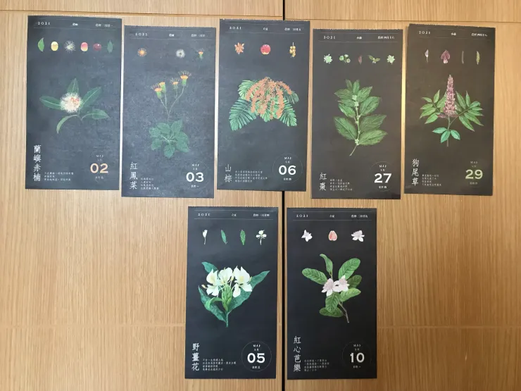 本月選花不障礙，練習挑選有別於以往的喜好。