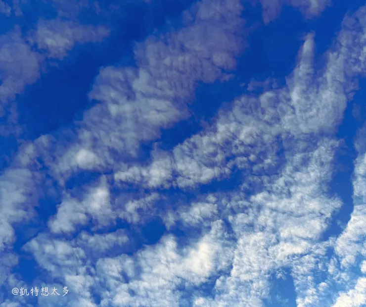 今天的天空很迷人-拍攝日期：2026/1/25