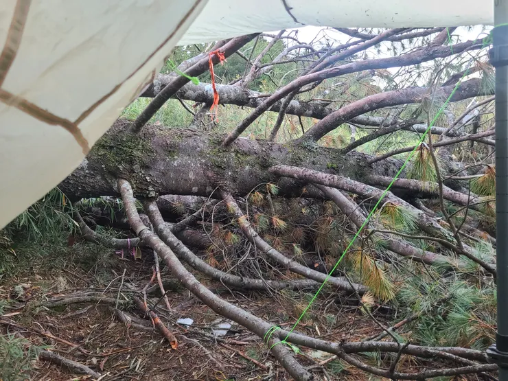 昨晚睡在這鳥地方