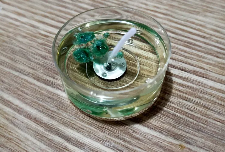 像不像發黴的蠟燭？