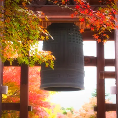 觀景窗後的生活點滴