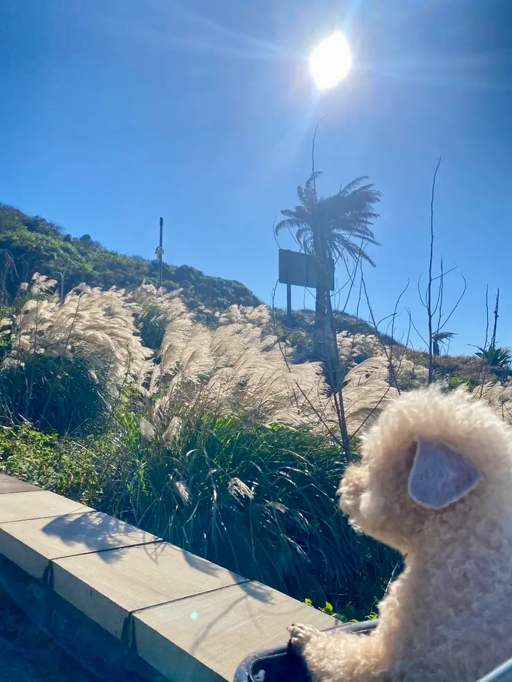 跳石天氣晴朗2024.12.02_happy