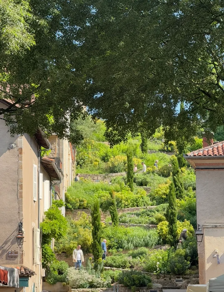 要離開的那個早上，不同時間不同的光線，不變的是它的美麗