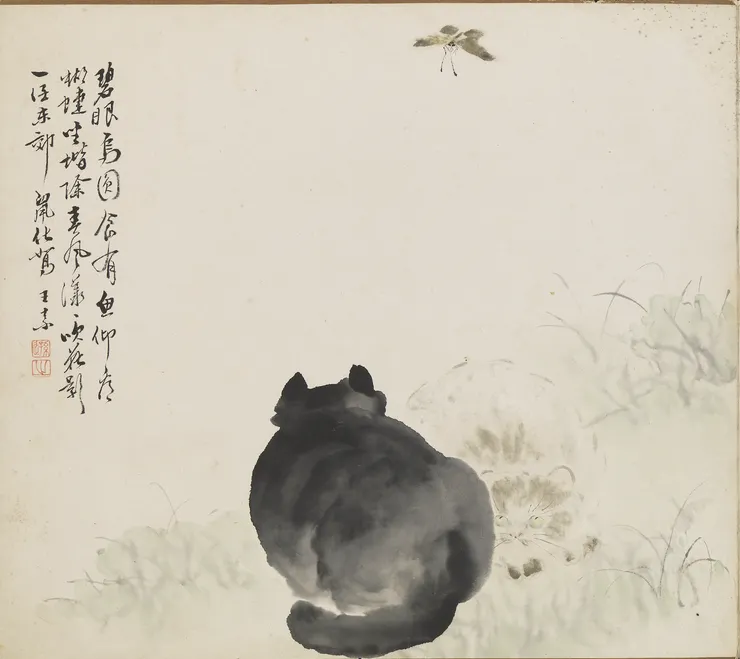 清代王素:貓 冊頁。國立故宮博物院,台北,CC BY 4.0 @ www.npm.gov.tw