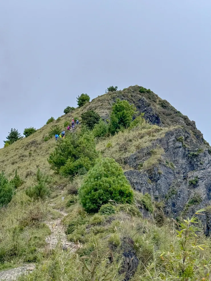 再走一咪咪就是桃山三角點了～