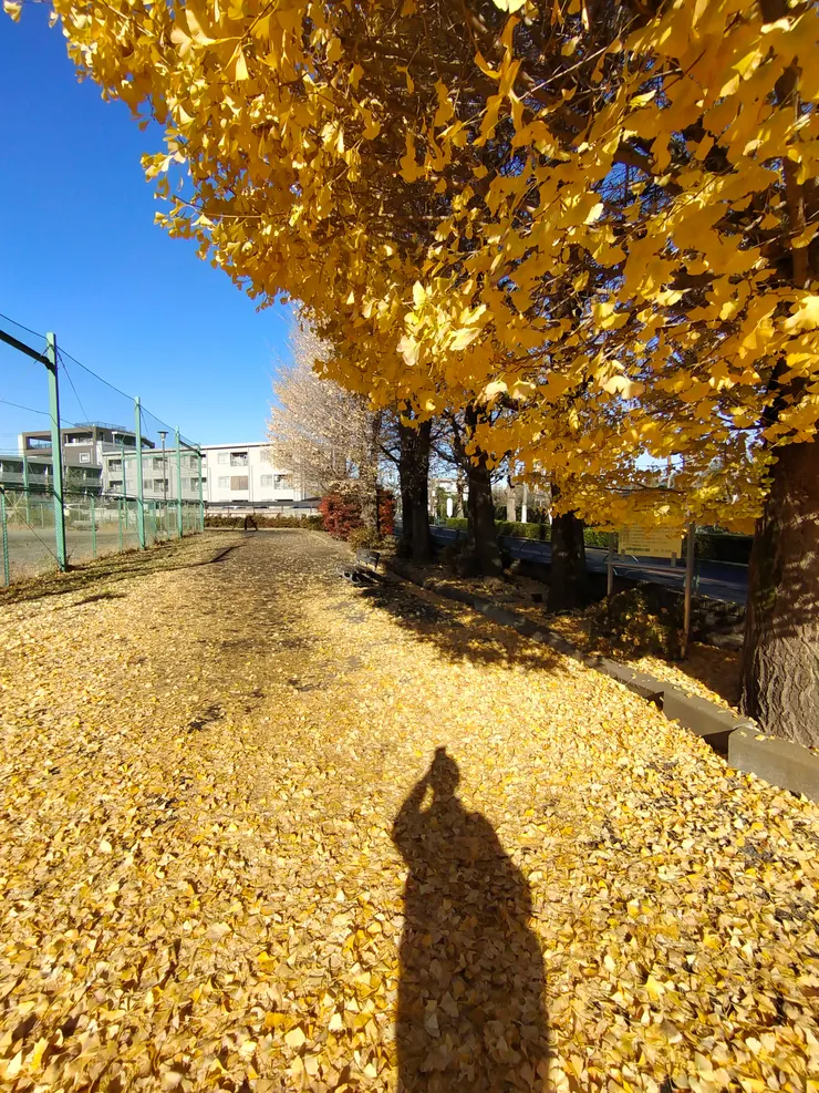 留下自己的身影