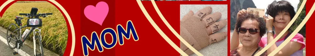 布魯斯粒粒的沙龍