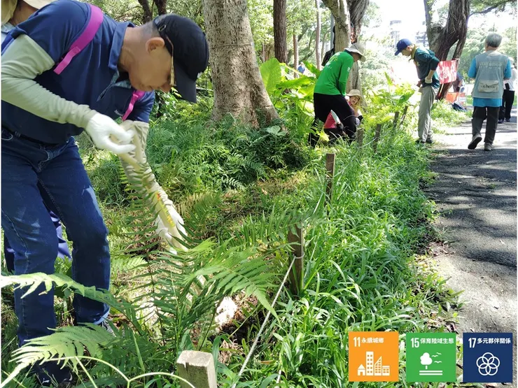 用現有的姑婆芋及蕨草將原有的圍籬營造成一個植生綠帶