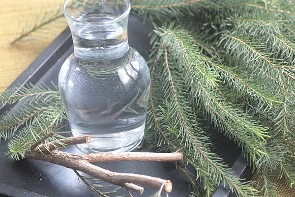 茶樹的氣味可以立刻將我們與身體連結，讓人往下扎根，擁有接地氣的力量