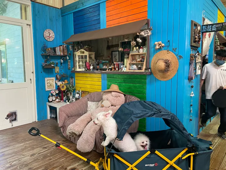 還有網紅拍照區