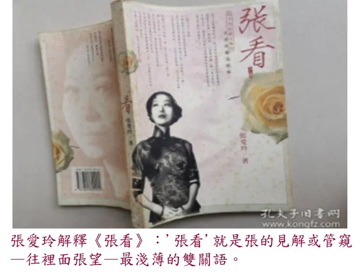 （圖面來源：张看 下册）