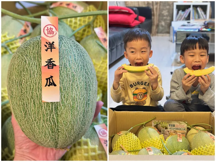 小孩最愛吃哈密瓜
