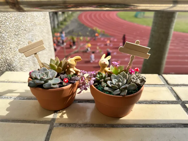 我跟岱螢的小多肉們