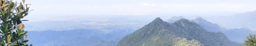 飛呀飛呀小飛俠