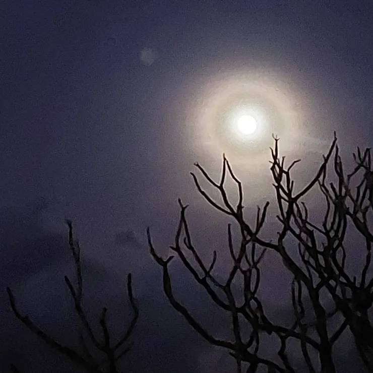 逆光構圖 / 資料來源：我自己