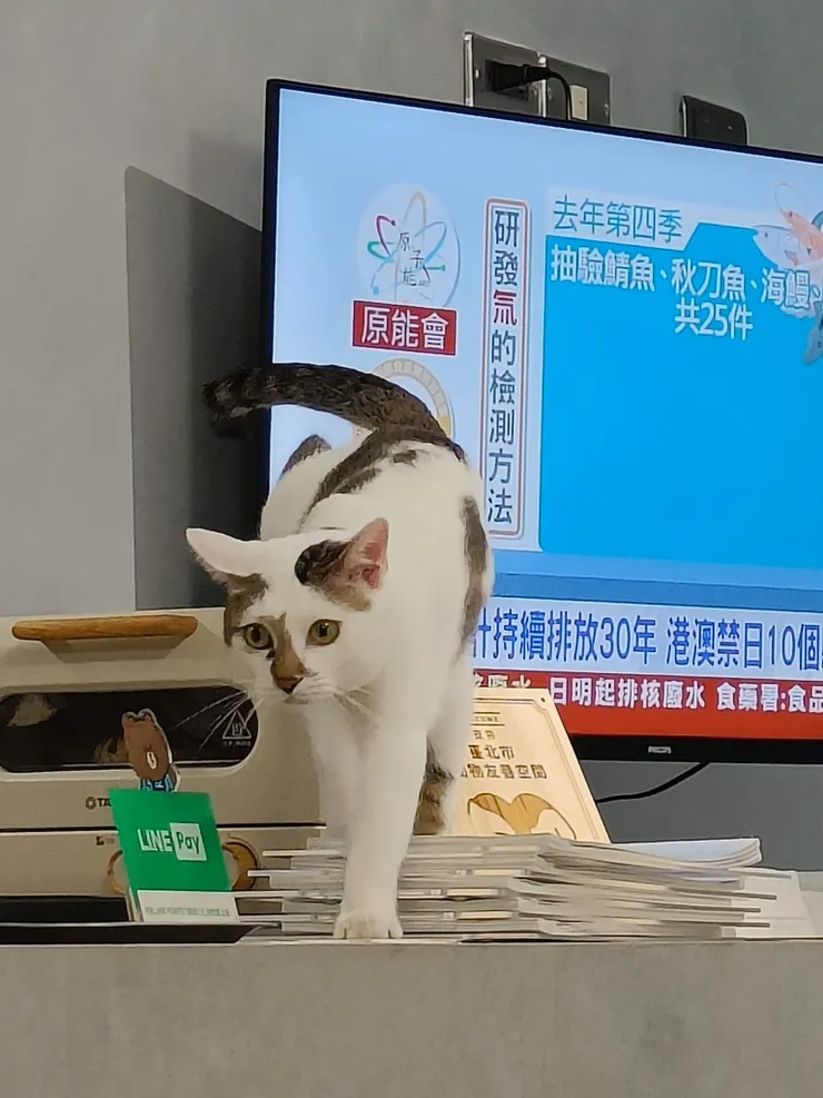 前往下一個棲息地