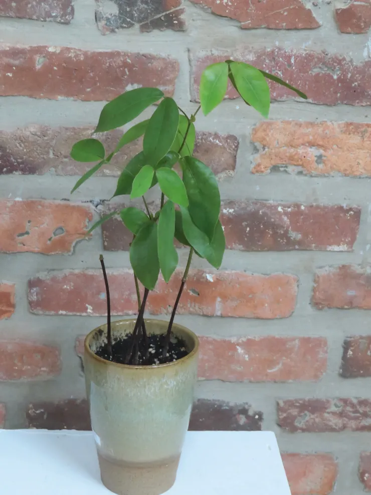 淡水社大110.12.07